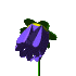 blumen animierte-bilder-gif